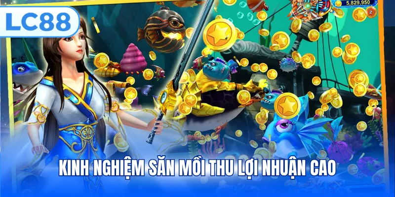 Kinh nghiệm săn mồi thu lợi nhuận cao